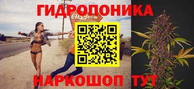 2c-b Боровичи
