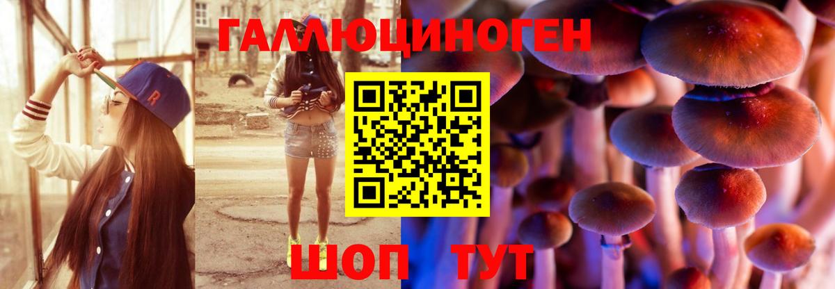 Галлюциногенные грибы мицелий  Вход с VPN  Кизляр 